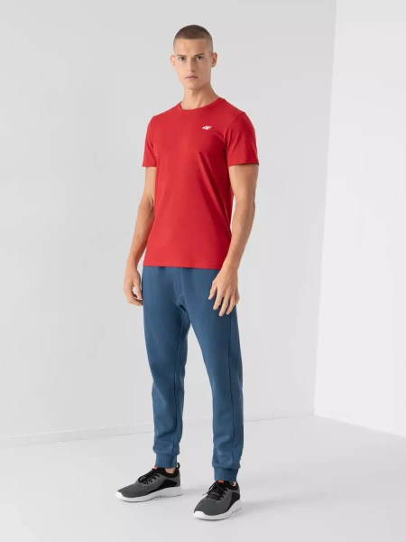 Koszulka męska 4F 4FAW22TTSHM707-62S