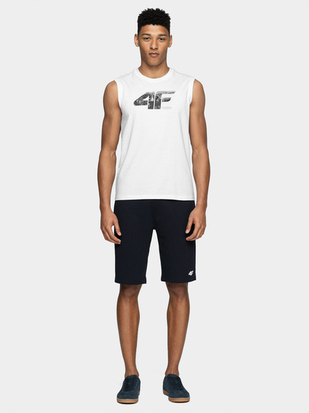 Koszulka męska 4F 4FSS22TTSHM269-10S