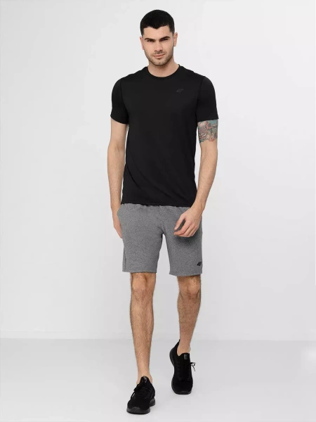 Koszulka męska 4F H4Z22-TSMF351-20S