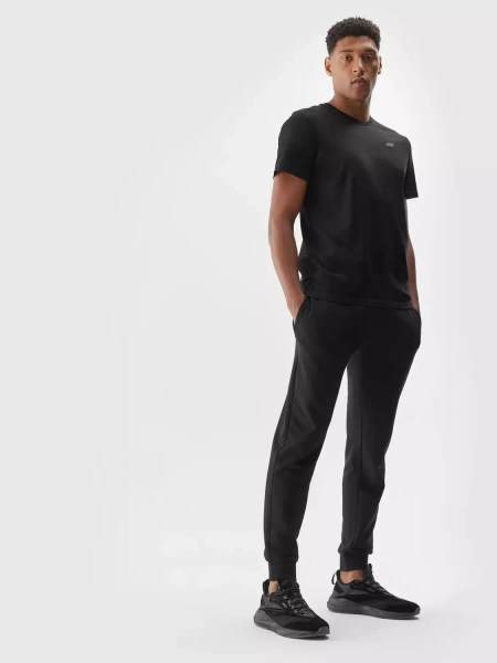 Koszulka męska 4F 4FAW23TTSHM0876-20S