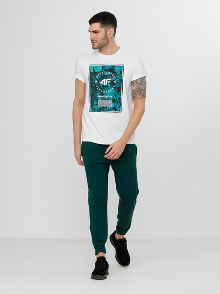 Koszulka męska 4F H4L22-TSM036-10S