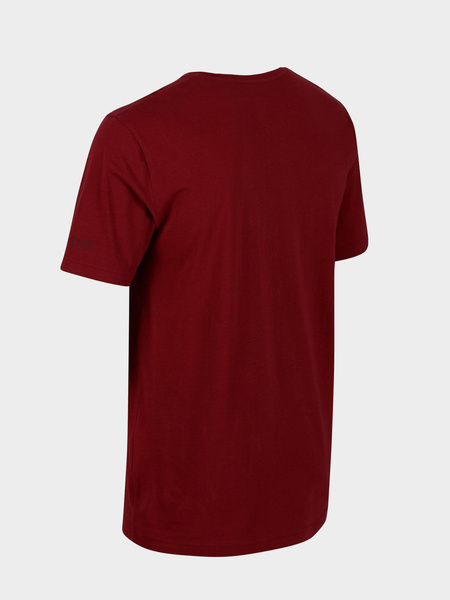 Koszulka męska REGATTA RMT218-649