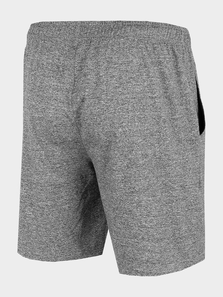 Spodenki męskie 4F H4L22-SKMF350-27M