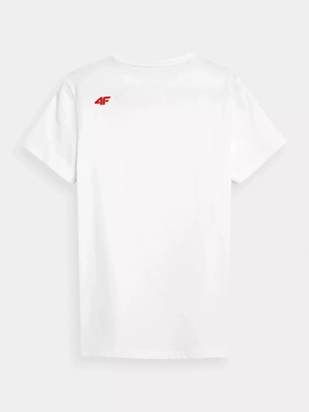 Koszulka męska 4F 4FWSS23TTSHM1231-91S 3PAK