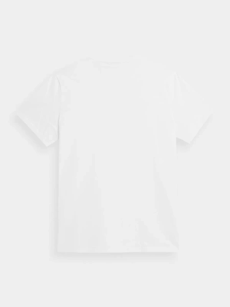 Koszulka męska  4F 4FAW23TTSHM0950-10S 