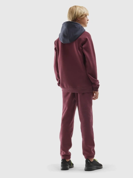 Spodnie dresowe dziecięce 4F 4FJAW23TTROM419-60S 