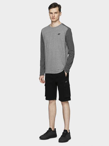 Koszulka męska 4F H4L21-TSML010-25P