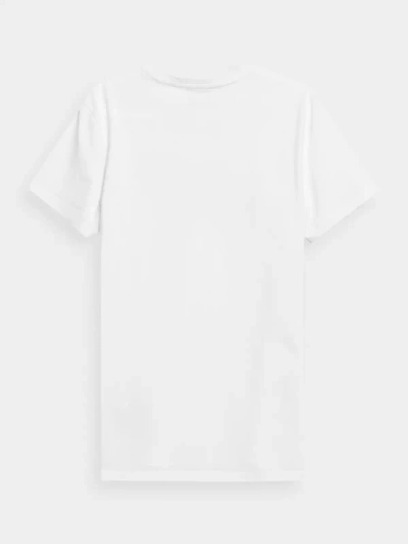 Koszulka męska 4F 4FWSS24TTSHM1155-10S 