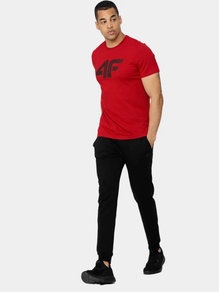 Spodnie dresowe męskie 4F H4Z22-SPMD350-20S