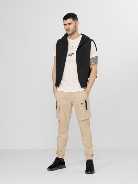 Koszulka męska 4F H4L22-TSM029-12S