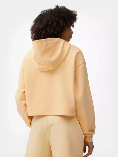 Bluza damska z kapturem 4F 4FSS23TSWSF244-73S