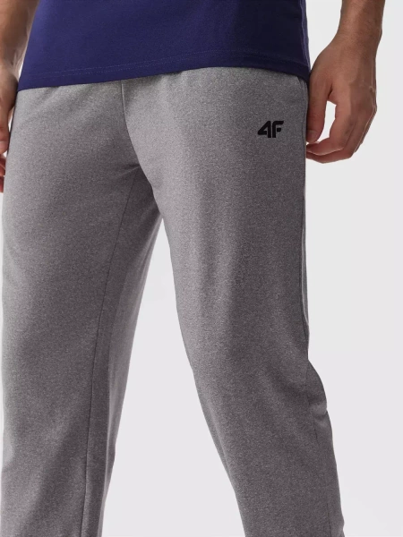 Spodnie dresowe męskie 4F 4FAW23TFTRM350-27M 