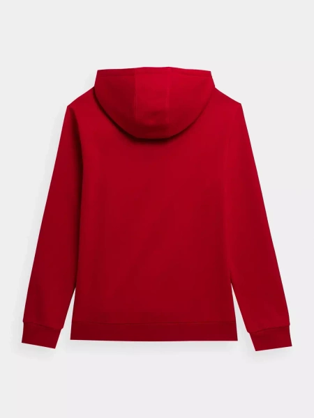 Bluza męska z kapturem 4F 4FSS23TSWSM353-62S