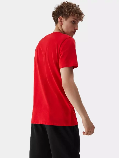 Koszulka męska 4F 4FAW23TTSHM0876-62S