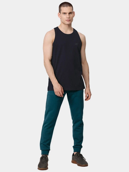 Spodnie dresowe męskie 4F H4Z22-SPMD350-32S