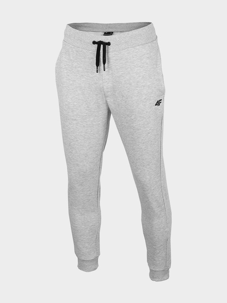 Spodnie dresowe męskie 4F H4L22-SPMD350-27M
