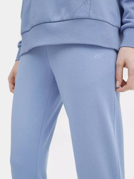 Spodnie dresowe damskie 4F 4FSS23TTROF229-32S