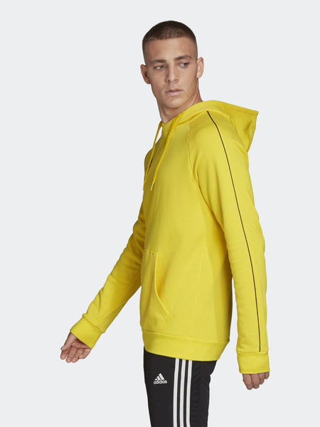 Bluza męska z kapturem adidas CORE18 FS1896