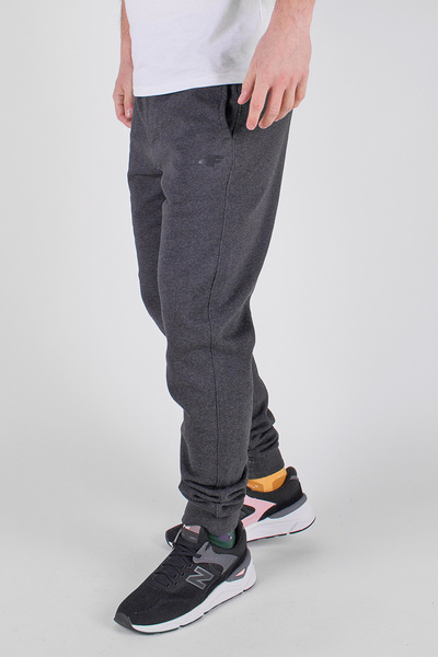 Spodnie dresowe męskie 4F H4Z19-SPMD001-23M