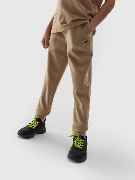 Spodnie dresowe dziecięce 4F 4FJAW23TTROM411-83S