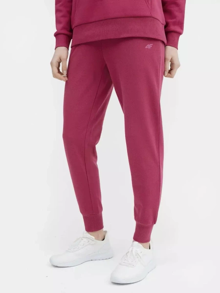 Spodnie dresowe damskie 4F 4FSS23TTROF229-53S