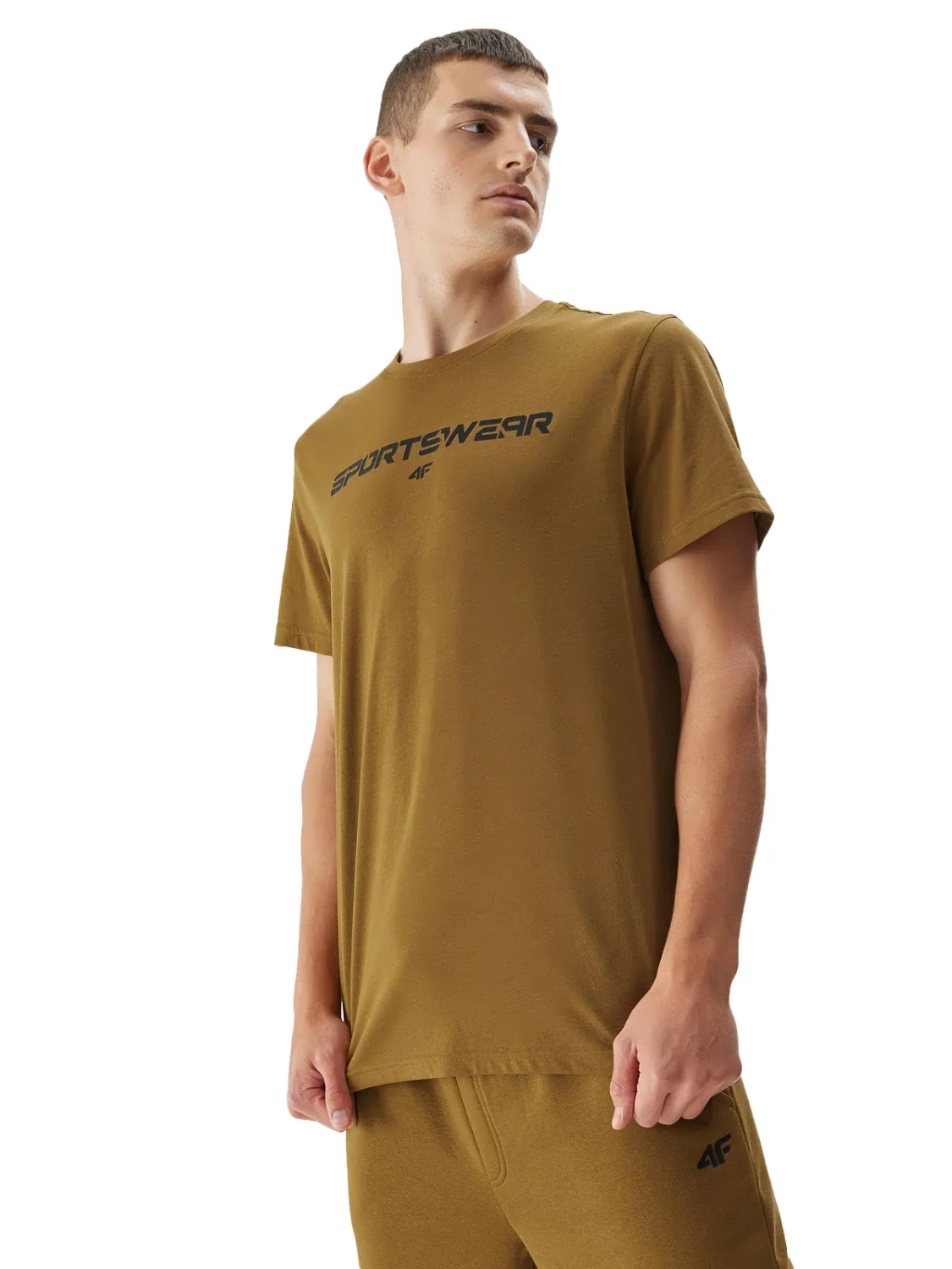 Koszulka męska  4F 4FAW23TTSHM0950-74S