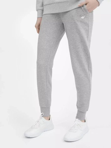 Spodnie dresowe damskie 4F 4FSS23TTROF229-27M