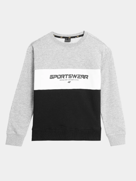 Bluza dziecięca 4F 4FJAW23TSWSM630-27M 