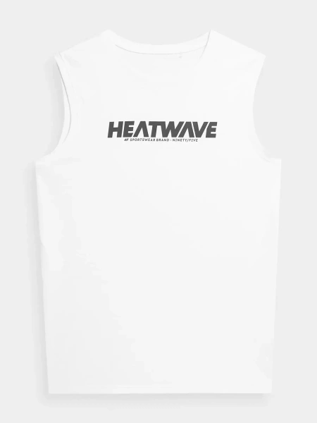 Koszulka męska 4F 4FSS23TTSHM357-10S