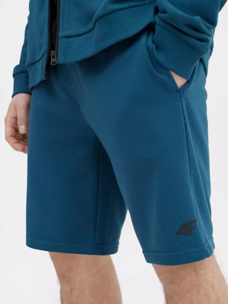 Spodenki męskie 4F 4FSS23TSHOM156-32S