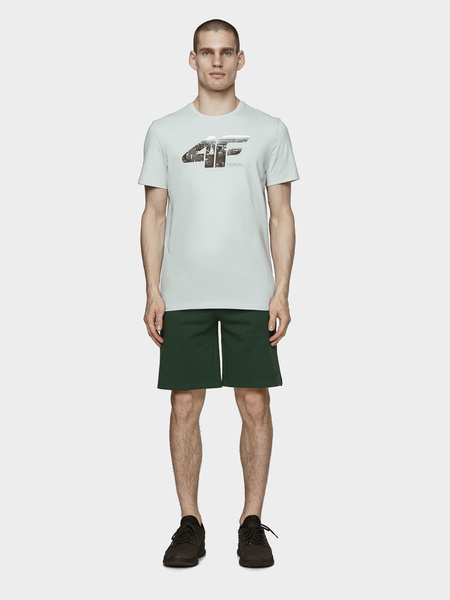 Koszulka męska 4F H4L21-TSM024-27S