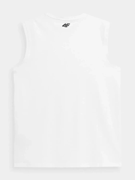 Koszulka męska 4F 4FWSS23TSLEM051-10S