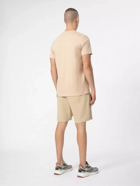 Koszulka męska 4F 4FSS23TTSHM311-81S