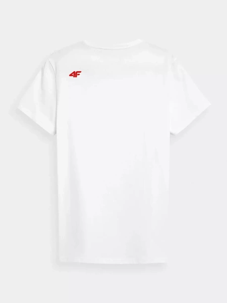 Koszulka męska 4F 4FWSS23TTSHM1229-10S