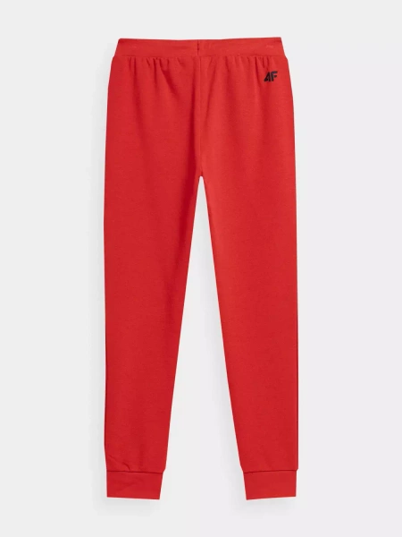 Spodnie dresowe dziecięce 4F 4FJSS23TTROM131-62S
