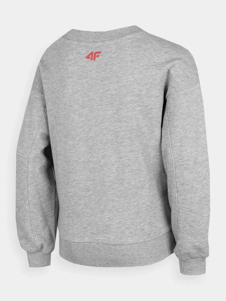 Bluza dziecięca 4F HJZ22-JBLD005-27M