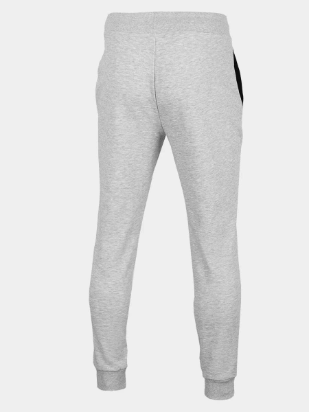 Spodnie dresowe męskie 4F H4Z22-SPMD350-27M