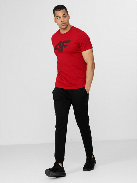 Koszulka męska 4F H4L22-TSM353-62S