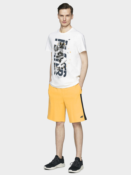 Spodenki męskie 4F H4L21-SKMD010-73S