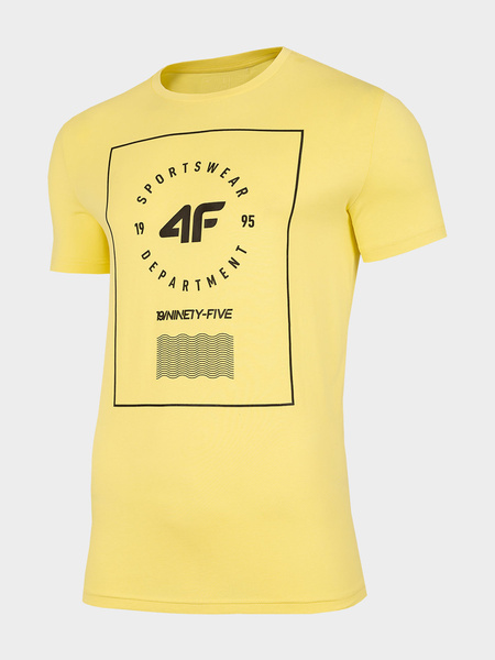 Koszulka męska 4F H4L22-TSM033-73S