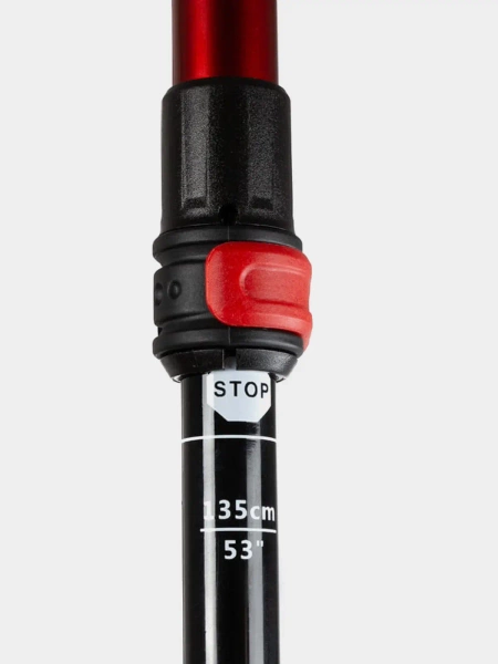 Kije trekkingowe BERGSON BTP-03