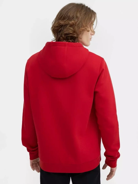 Bluza męska z kapturem 4F 4FSS23TSWSM353-62S