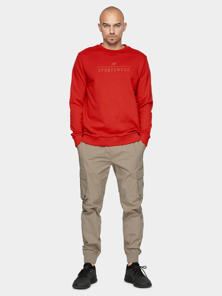 Bluza męska 4F NOSH4-BLM350-62S