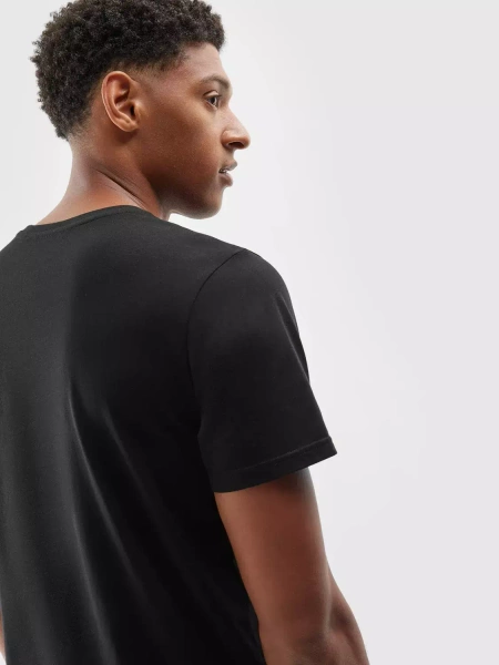 Koszulka męska 4F 4FAW23TTSHM0876-20S