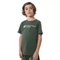 zielony