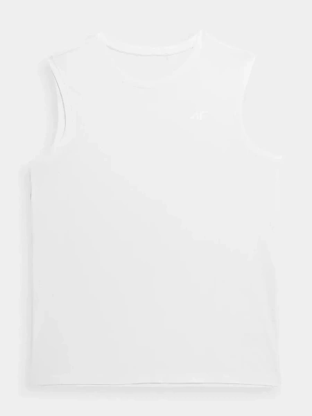 Koszulka męska 4F 4FSS23TSLEM016-10S