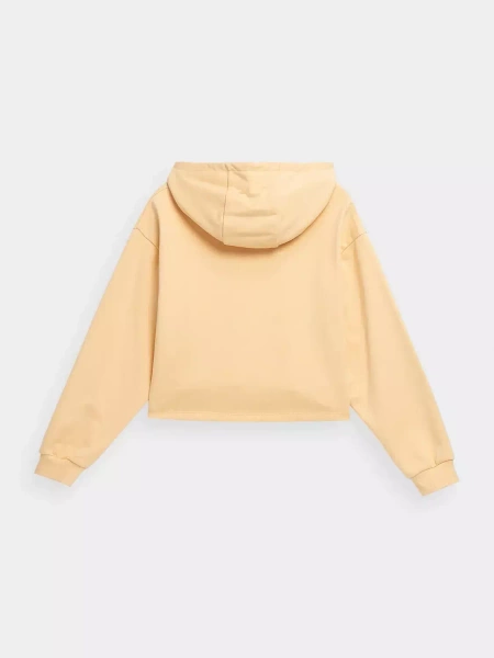 Bluza damska z kapturem 4F 4FSS23TSWSF244-73S