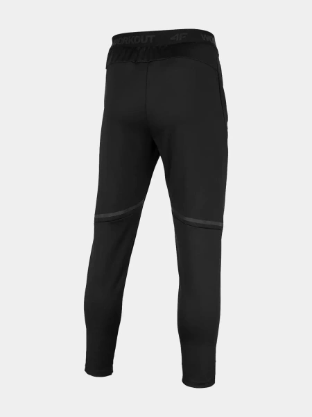 Spodnie dresowe męskie 4F H4Z22-SPMTR010-20S