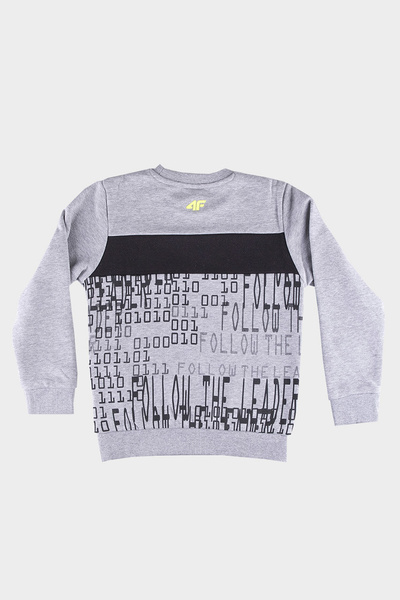 Bluza dziecięca 4F HJZ20-JBLM007-27M