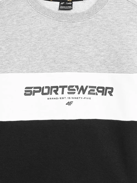 Bluza dziecięca 4F 4FJAW23TSWSM630-27M 